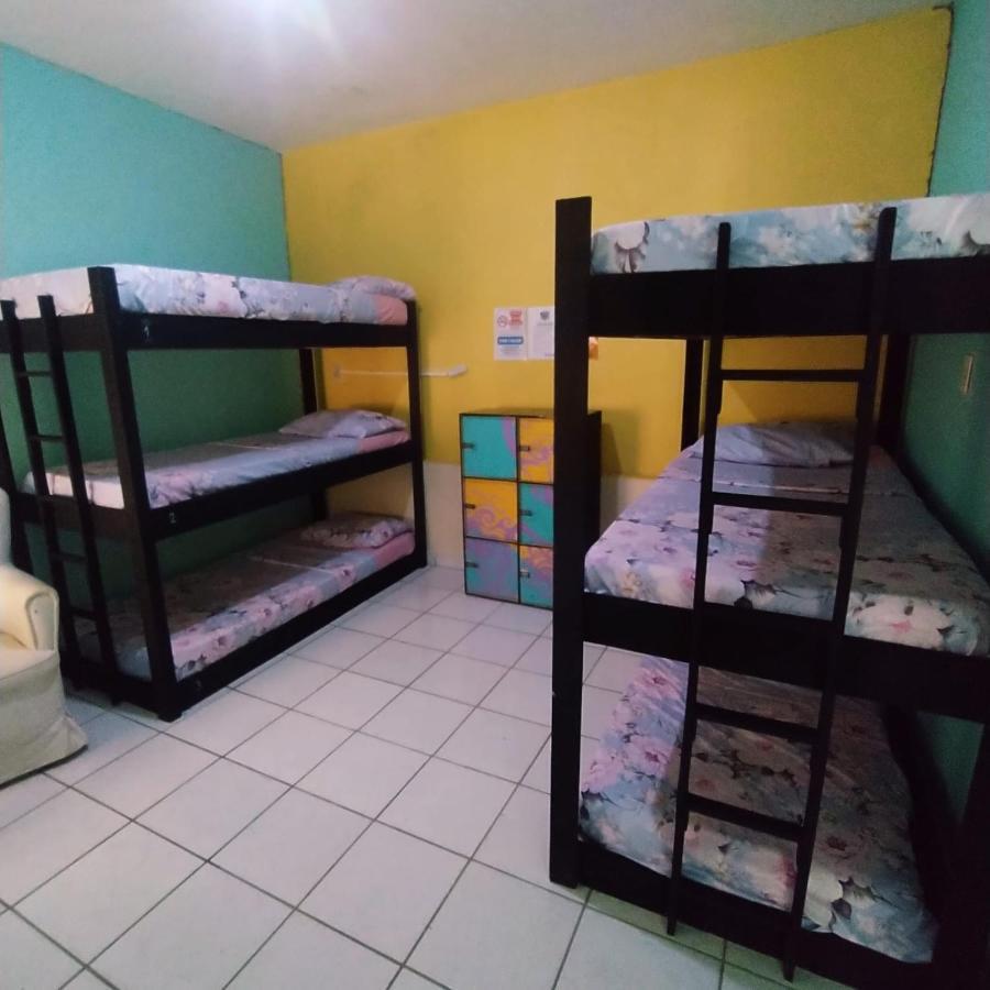 Proxima Estacion Hostel Масейо Экстерьер фото
